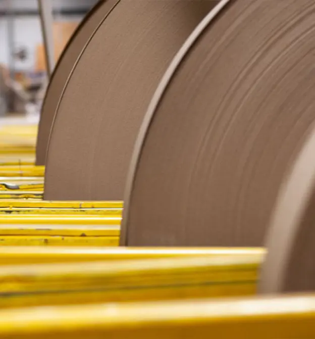 close up view of paper rolls